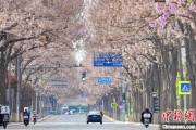 大兴安岭共建“花园城市” 北京这场议政会“百花齐放”