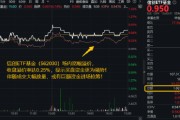 大兴安岭超1亿元！成交额激增，信创成香饽饽！三大核心因素驱动，信创ETF基金（562030）全天宽幅溢价
