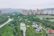 大兴安岭西宁市举办六五环境日主题宣传活动